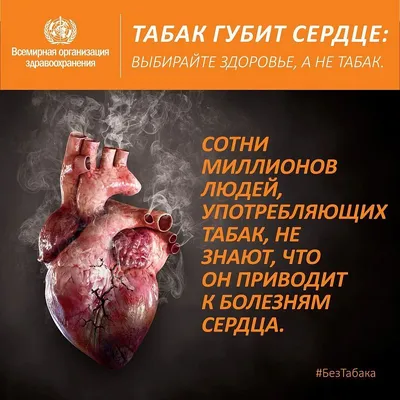 Курение и сердце. Новости Владивостокской клинической больницы №1