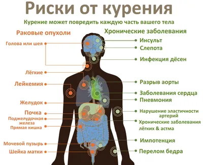 Сердце, как хорошо, что ты такое! - новости Бурятии и Улан-Удэ