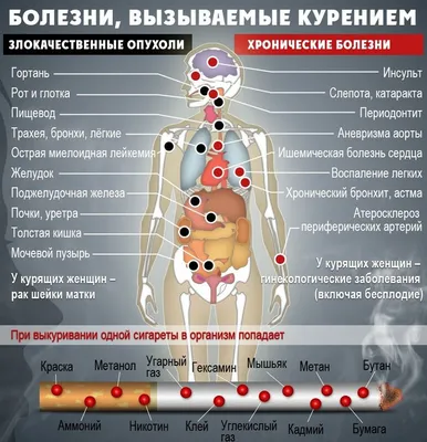 PPT - Здоровый образ жизни PowerPoint Presentation, free download -  ID:4870323