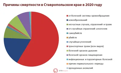 Что происходит с сердцем и сосудами во время курения? | Абакан  24|Новости|Информационный канал | Дзен