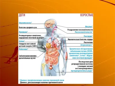 Кардиолог Фаина Лобжанидзе: Никотин для артерий сердца, как ржавчина для  труб - KP.RU