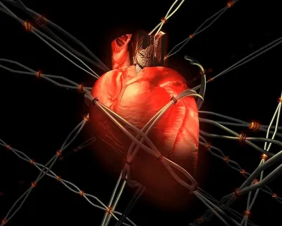 Болезни сердца: как распознать, лечить и предотвратить?
