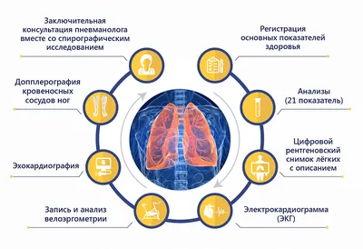 Немой удар. Может ли сердце остановиться «на ровном месте»? | Здоровая  жизнь | Здоровье | Аргументы и Факты