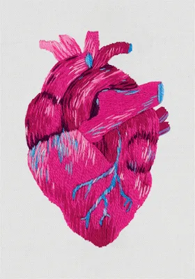 Как проверить сердце: обследование, полная и комплексная диагностика,  анализы