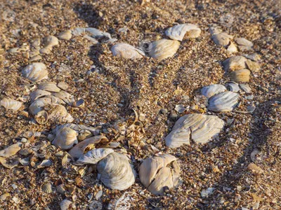 Декоративное сердце на песке и пара на фоне :: Стоковая фотография ::  Pixel-Shot Studio