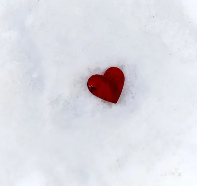 Сердце на снегу фото фото