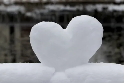 Сердце из снега и сердце на снегу - новости Владимирской области