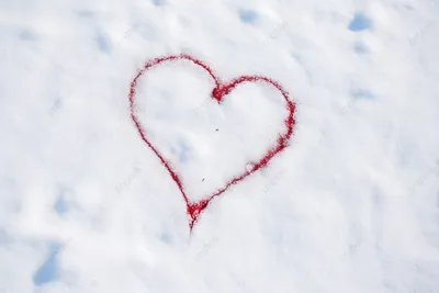 Сердце затоптанное на снегу с ногами Стоковое Изображение - изображение  насчитывающей сосенка, прикарпатско: 166501153