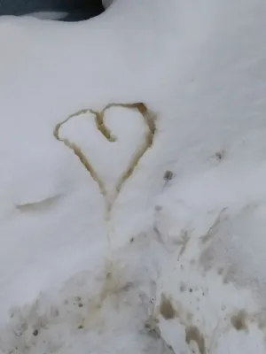 зима сердце на снегу｜TikTok Search