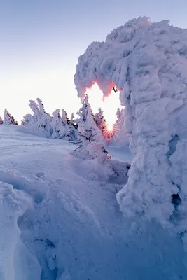 Premium Photo | Winter heart painted in the snow