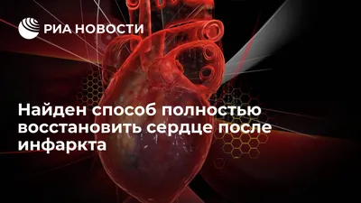 Найден способ полностью восстановить сердце после инфаркта - РИА Новости,  29.09.2019