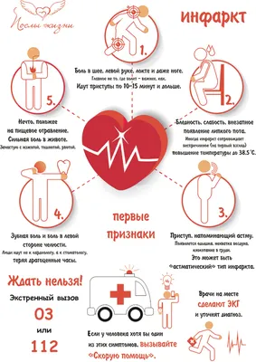 Регенерация сердца стволовыми клетками после инфаркта миокарда – новое  перспективное исследование / Статья на сайте Волынской больницы от 4 июня  2019 г.