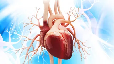 Что следует знать об инфаркте миокарда?