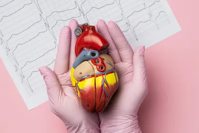 Насколько точно УЗИ может показать инфаркт миокарда? - Горизонт - центр  медицины