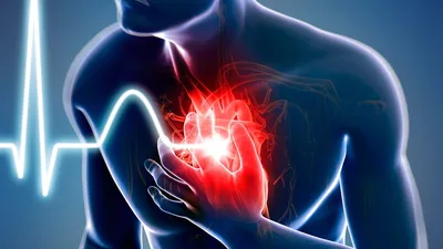 Перепрограммирование метаболизма восстанавливает работу сердца после  инфаркта