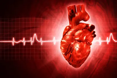 Как кофе влияет на работу сердца и как начинается инфаркт — комментарий от  главного кардиолога Самары Алексея Чернышева - 21 октября 2019 - 63.ru