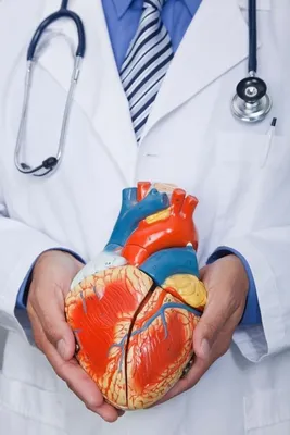 Инфаркт миокарда: лечение сердечного приступа в Одессе | Медицинский дом  Odrex
