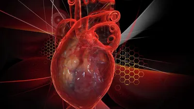 ⚕ Как распознать инфаркт миокарда - PULSE