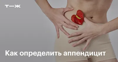 Сердце (сог) - Грудь - Топографічна анатомія людини російською мовою (ru) -  Цікава інформація медичної спрямованості - Анатомія людини