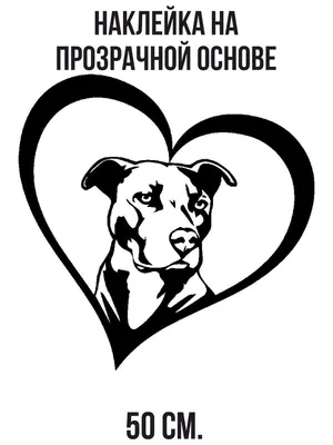 Натуральная формула влажный корм для собак сердце индейки в желе ламистер  300 г – купить в интернет зоомагазине РыжийКот56.рф