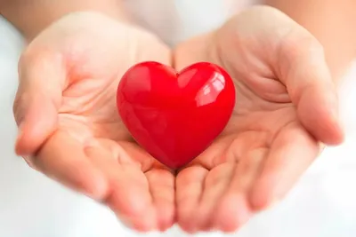 Сердце в наличии Сердце на ладони - символ влюбленности Стоковое  Изображение - изображение насчитывающей схематическо, сердце: 44172125