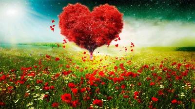 Красивое красное сердце с листьями Векторное изображение ©Ostapius 125731166
