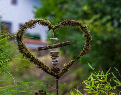 Бесплатное изображение: дерево, сердце, украшения, любовь, листья, природа,  цветок, Сад, Флора