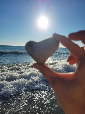 Сердце природы 💚 Не дадим ему остановиться.. Заросшее озеро средь волжских  островов… | Instagram