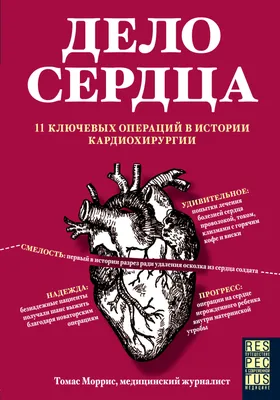 Кровеносная система в разрезе тыквы,…» — создано в Шедевруме