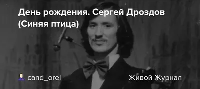 Моя любовь жива\"#Сергей Дроздов и \"Синяя птица\"оригинальная запись с ... |  TikTok