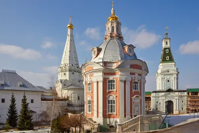 Московская область Сергиев Посад Спасо-Вифанский монастырь Фотография
