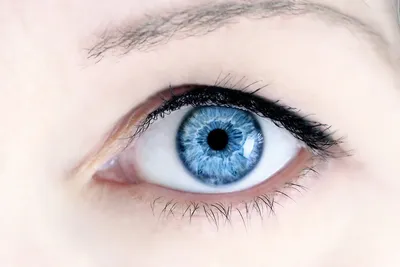 Голубо - серые глаза» — создано в Шедевруме