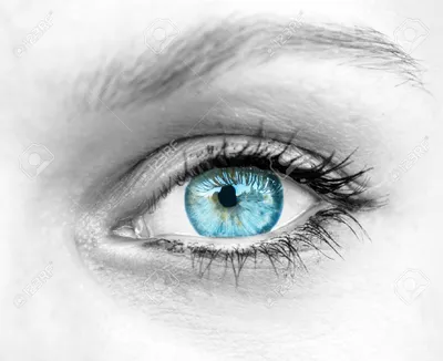 Серые глаза с пятнами в морщинках Iris на веках близких по близорукости  человеческого здоровья зрительного нерва концепции зрения Стоковое  Изображение - изображение насчитывающей объективы, проверка: 203517325