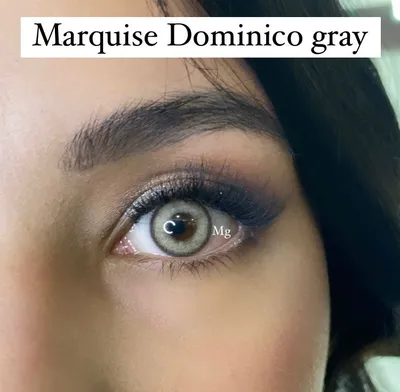Купить Magister 1 пара натуральных цветных контактных линз, голубые линзы  для глаз, коричневые контакты для красоты, цветные линзы для макияжа с  бесплатным футляром для линз | Joom