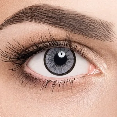 Серые линзы Adria Elegant Gray | Купить контактные линзы в  интернет-магазине AdriaCats