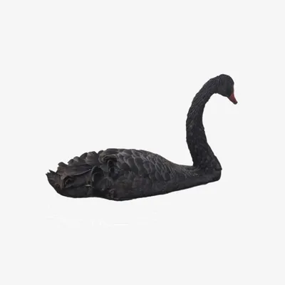 Серый лебедь на пруду качает павшую…» — создано в Шедевруме