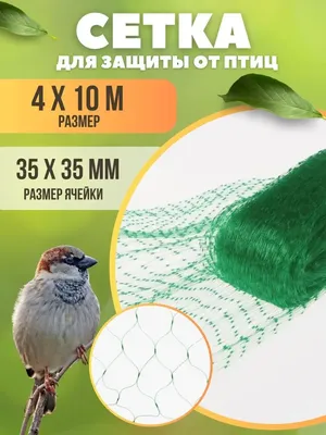 Сетка от птиц полиэфирная 3х10 м, ячейка 8х8 мм (зелёная) — купить в Москве  | Гарантия лучшей цены