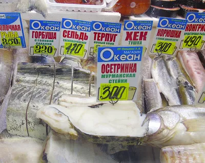 Чир свежемороженый 1 кг купить в Москве по цене 656 руб. – FROST FISH