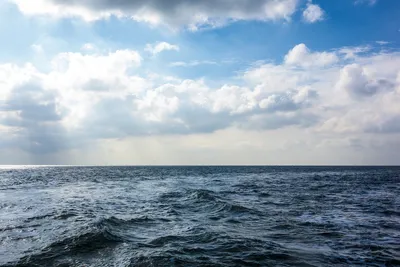 Северное море фото фото