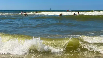 Можно ли купаться в Северном море?