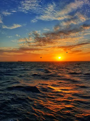 северное море стоковое фото. изображение насчитывающей побережье - 208631866