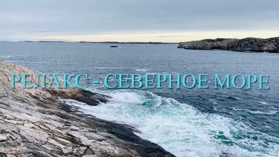 Северное море, Юлия Хокка – скачать книгу fb2, epub, pdf на ЛитРес