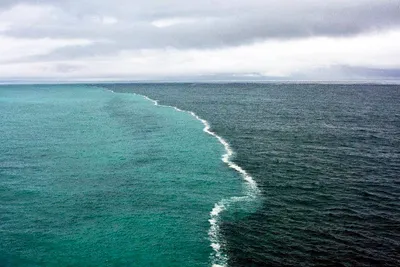 Вечернее северное море. Фотограф Горшков Игорь