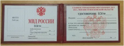 ГИБДД: Водительские удостоверения с переводом законны - Российская газета