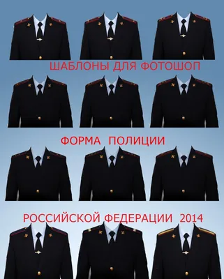 Водительское удостоверение в Украине — приложения Дія, как пользоваться,  ответы на вопросы / NV