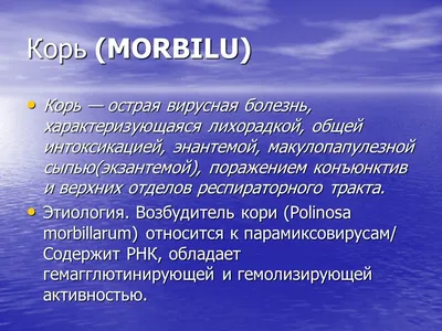 Оноре,де,Бальзак - Отец Горио. Блеск и нищета куртизанок. Шагреневая кожа.  Гобсек. Тридцатилетняя женщина | Книжкова Хата - магазин цікавих книг! м.  Коломия, вул. Чорновола, 51