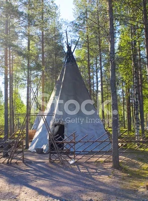 Лес эко отель - база отдыха в лесу в Ленинградской области