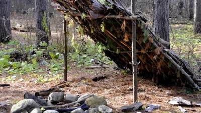 Борчане построили общественный шалаш в лесу — новости города Бор