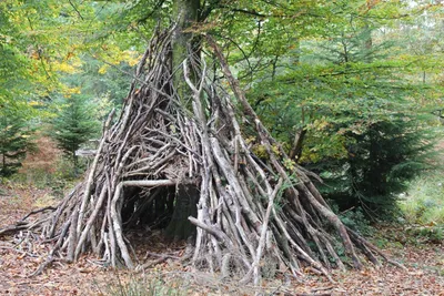 Дом-шалаш A-frame в лесу | Дом, Дизайн отеля, Гостевые домики