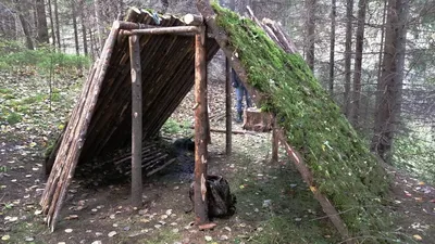 Как построить шалаш в лесу | ВКонтакте